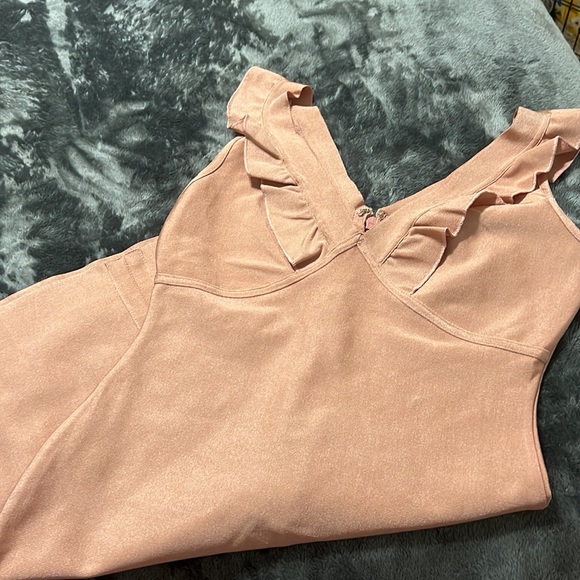 Pink Fitted Dress - Picture 5 of 5